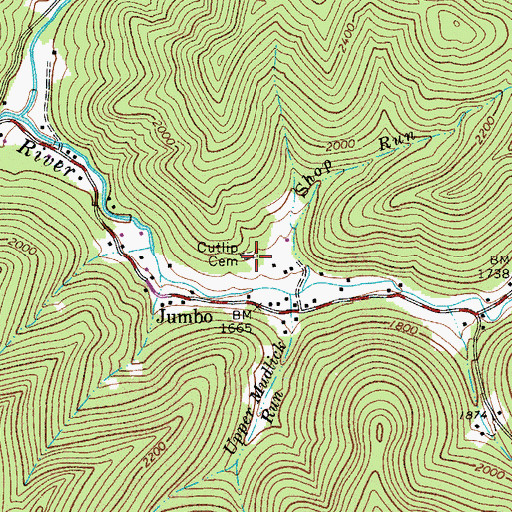 Topographic Map of Cutlip Cemetery, WV