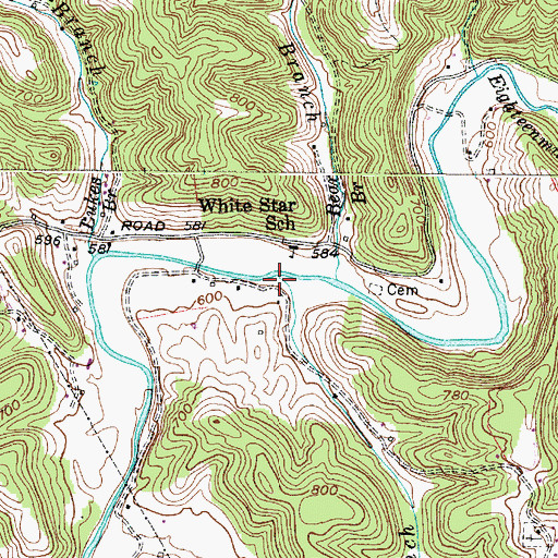 Topographic Map of Dales Branch, WV