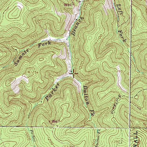 Topographic Map of Dalton Fork, WV