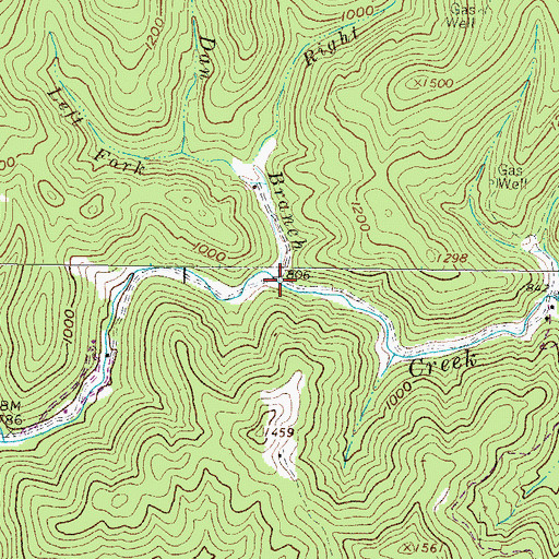 Topographic Map of Dan Branch, WV