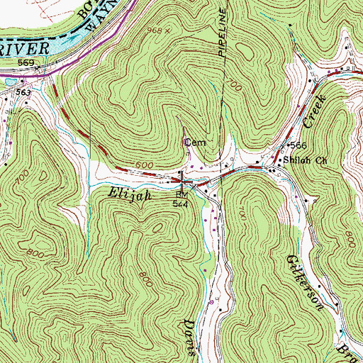 Topographic Map of Davis Branch, WV