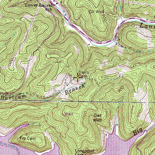 Topographic Map of Davis Cemetery, WV