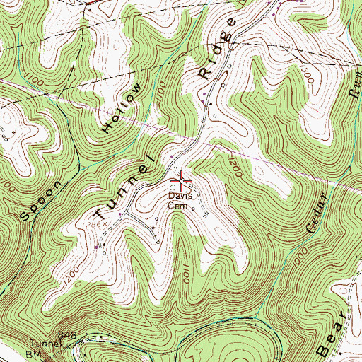 Topographic Map of Davis Cemetery, WV