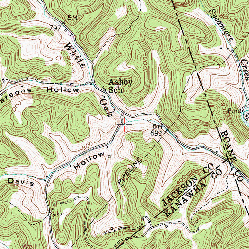 Topographic Map of Davis Hollow, WV