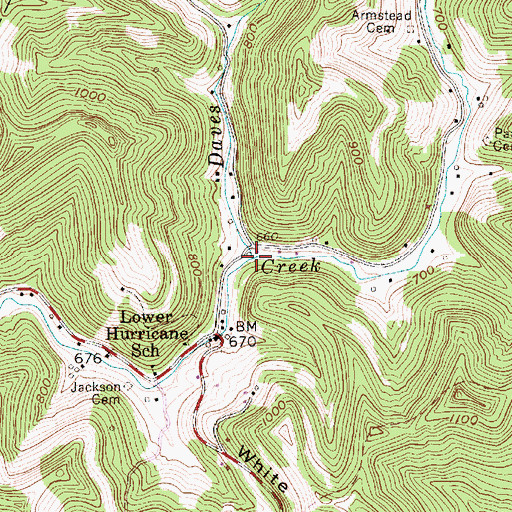 Topographic Map of Davis Run, WV