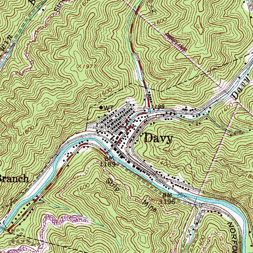 Topographic Map of Davy, WV