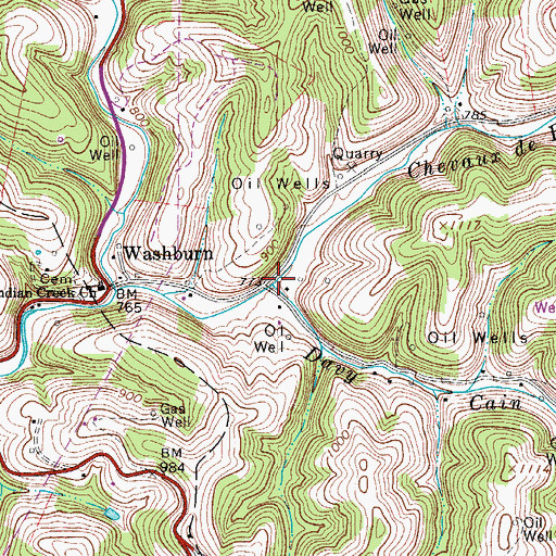 Topographic Map of Davy Cain Run, WV