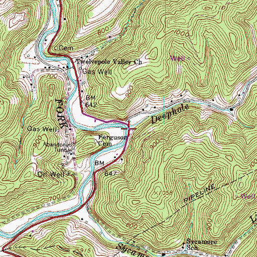 Topographic Map of Deephole Branch, WV