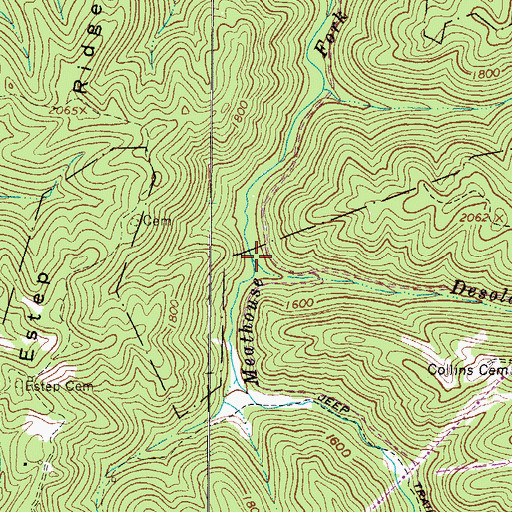 Topographic Map of Desolate Branch, WV