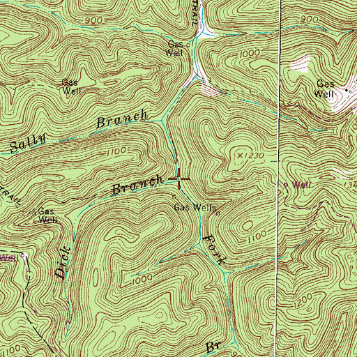 Topographic Map of Dick Branch, WV