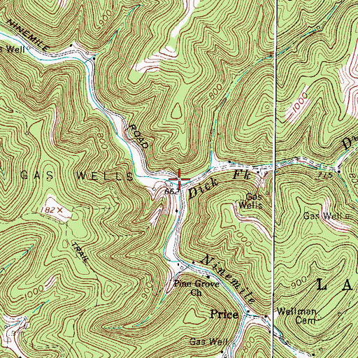 Topographic Map of Dick Fork, WV