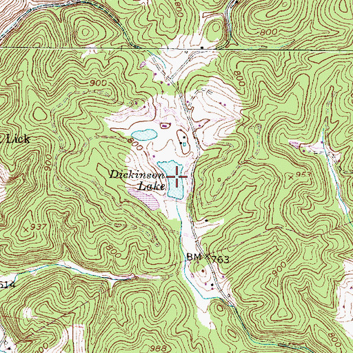 Topographic Map of Dickinson Lake, WV