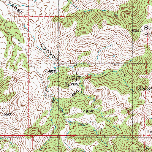 Topographic Map of Grays Spring, AZ