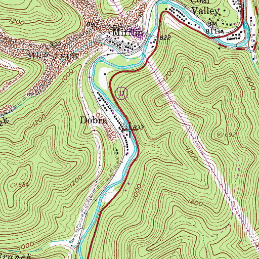 Topographic Map of Dobra, WV