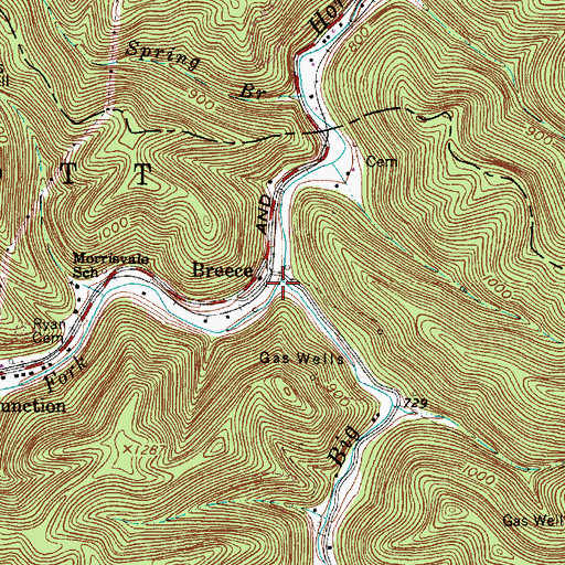 Topographic Map of Dodson Fork, WV