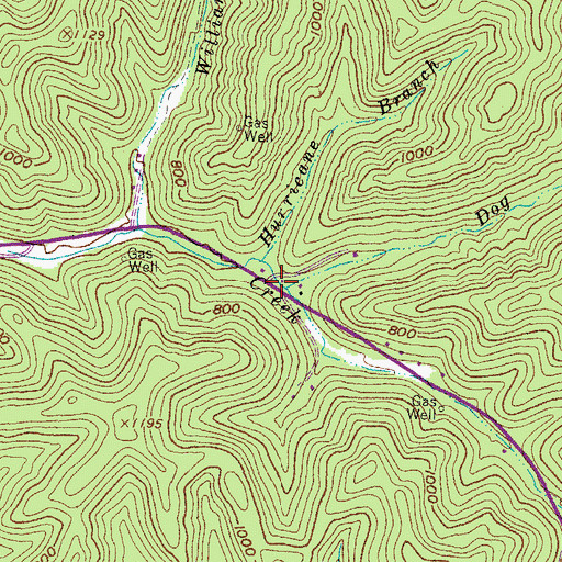 Topographic Map of Dog Fork, WV