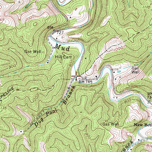 Topographic Map of Dog Pool Branch, WV