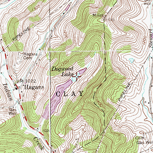 Topographic Map of Dogwood Lake, WV