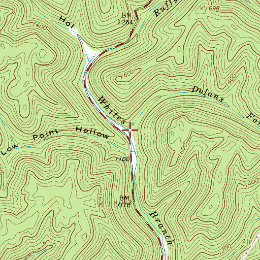Topographic Map of Dolans Fork, WV