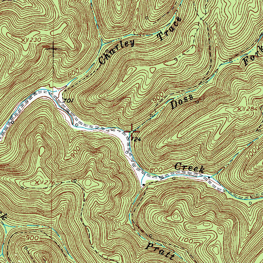 Topographic Map of Doss Fork, WV