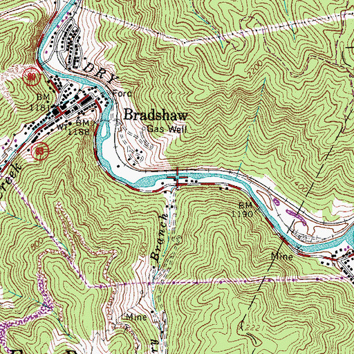 Topographic Map of Dry Branch, WV