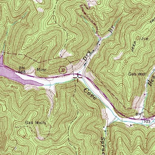 Topographic Map of Dry Branch, WV
