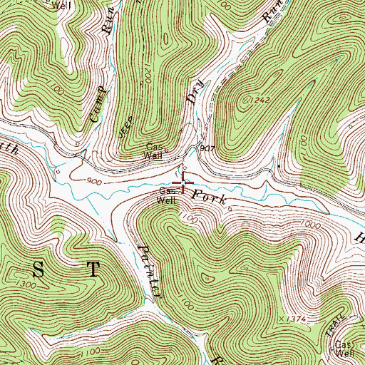 Topographic Map of Dry Run, WV