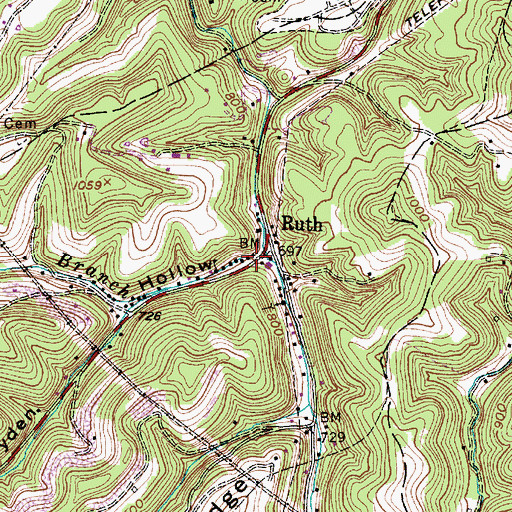 Topographic Map of Dryden Hollow, WV