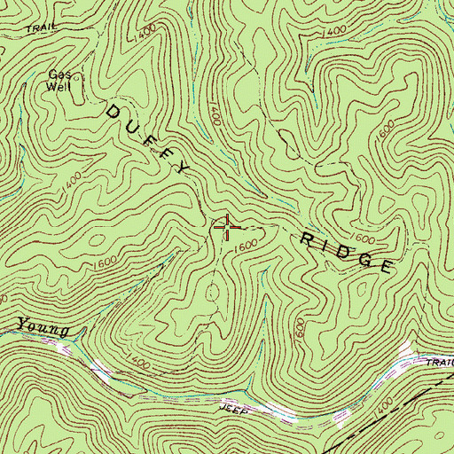 Topographic Map of Duffy Ridge, WV