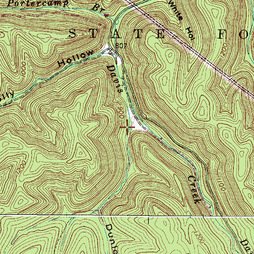 Topographic Map of Dunlop Hollow, WV