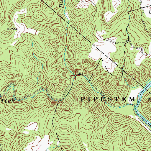 Topographic Map of Dustlick Creek, WV