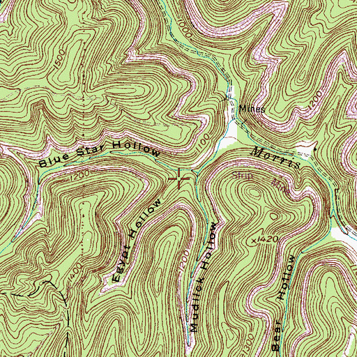 Topographic Map of Egypt Hollow, WV