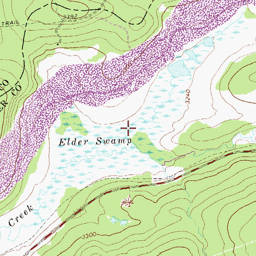 Topographic Map of Elder Swamp, WV