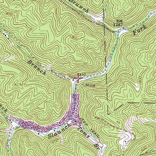 Topographic Map of Elias Branch, WV
