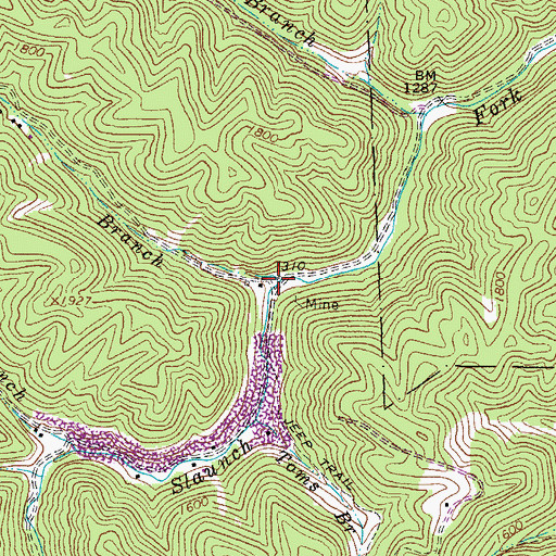 Topographic Map of Elias Branch, WV