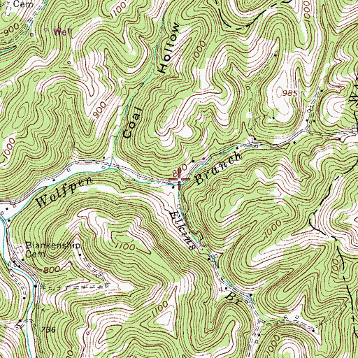 Topographic Map of Elkins Branch, WV