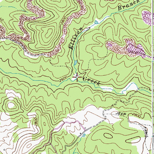 Topographic Map of Ellison Branch, WV