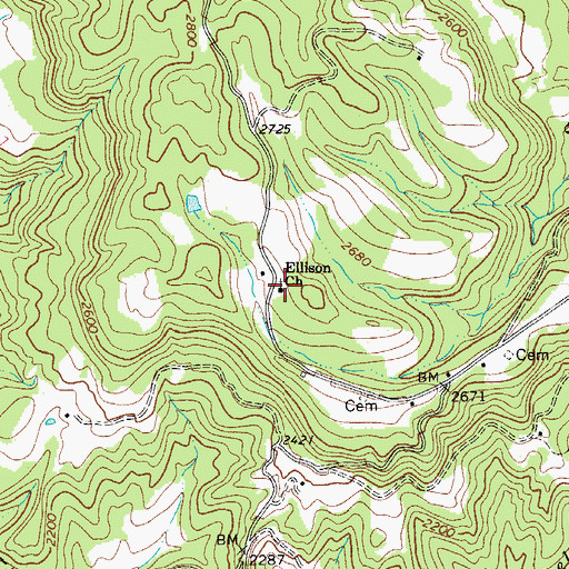 Topographic Map of Ellison Church, WV