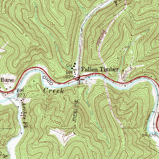 Topographic Map of Fallen Timber Run, WV