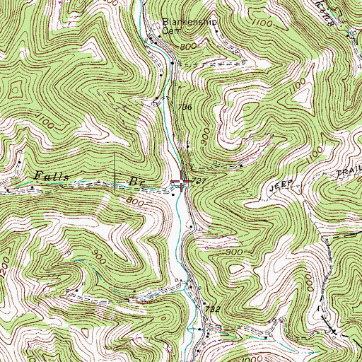 Topographic Map of Falls Branch, WV