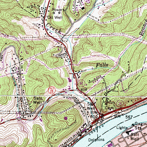 Topographic Map of Falls Branch, WV