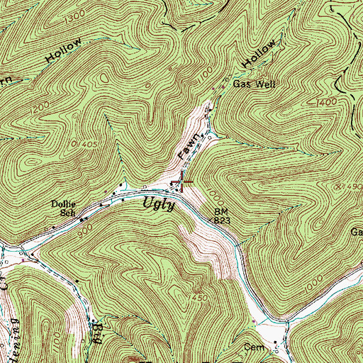 Topographic Map of Fawn Hollow, WV