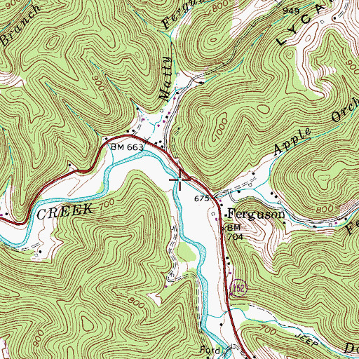 Topographic Map of Ferguson Branch, WV