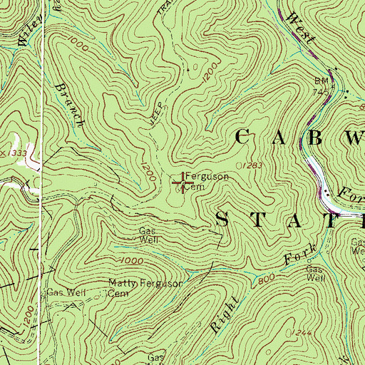 Topographic Map of Ferguson Cemetery, WV