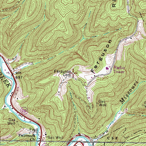 Topographic Map of Ferguson Cemetery, WV