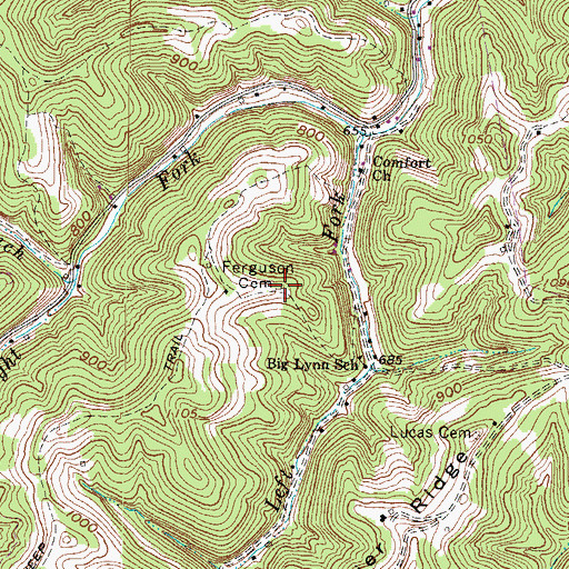 Topographic Map of Ferguson Cemetery, WV