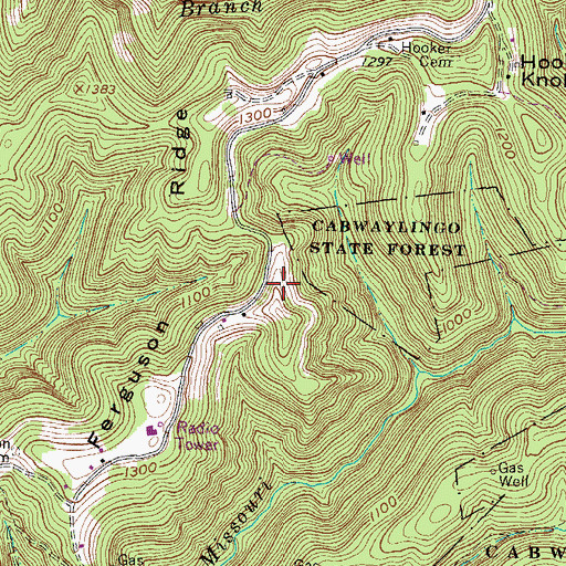 Topographic Map of Ferguson Ridge, WV
