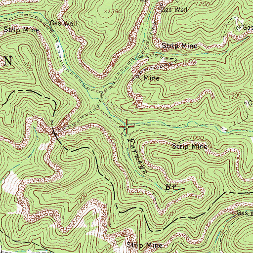Topographic Map of Ferneys Branch, WV