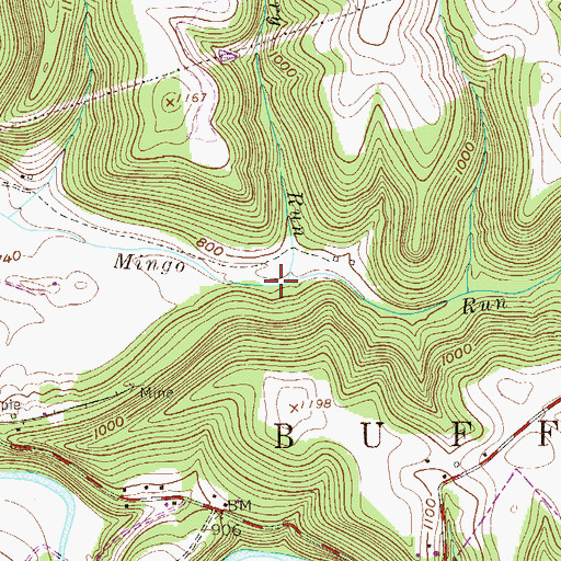 Topographic Map of Ferry Run, WV