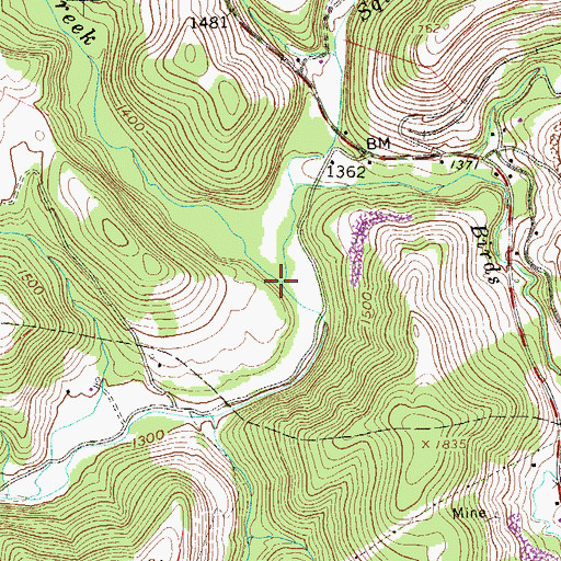 Topographic Map of Fields Creek, WV